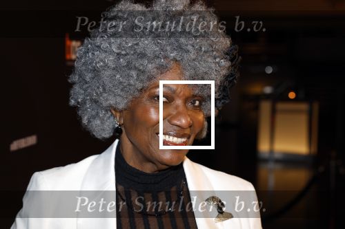 Amsterdam 15 maart 2023
Premiere de Verleiders in het deLaMar Theater.
Gerda Havertong