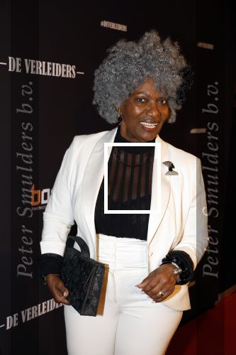 Amsterdam 15 maart 2023
Premiere de Verleiders in het deLaMar Theater.
Gerda Havertong