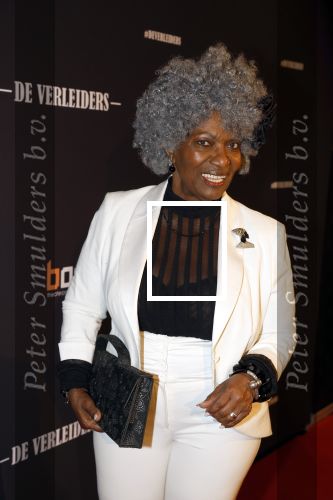 Amsterdam 15 maart 2023
Premiere de Verleiders in het deLaMar Theater.
Gerda Havertong
