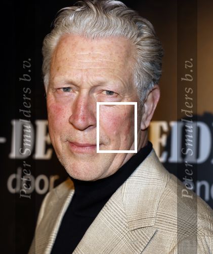 Amsterdam 15 maart 2023
Premiere de Verleiders in het deLaMar Theater.
Hajo Bruins kwam met zijn dochter