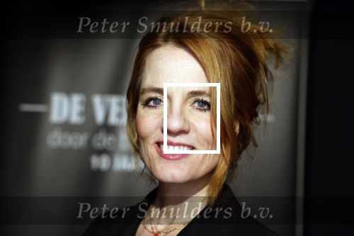 Amsterdam 15 maart 2023
Premiere de Verleiders in het deLaMar Theater.
Ilse warringa