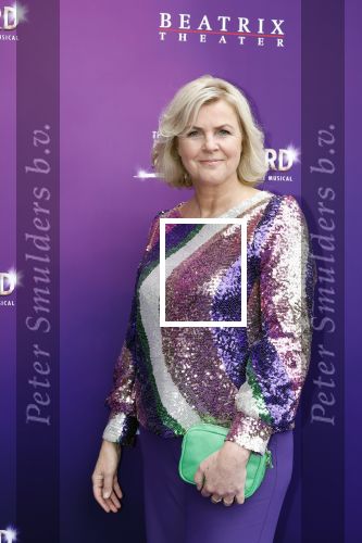 Utrecht 16 april 2023
Premiere the Bodyguard in het Beatrix Theater.