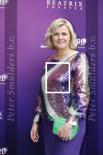 Utrecht 16 april 2023
Premiere the Bodyguard in het Beatrix Theater.
