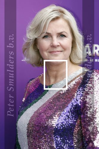 Utrecht 16 april 2023
Premiere the Bodyguard in het Beatrix Theater.