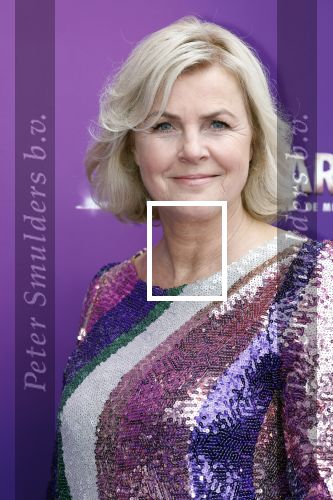 Utrecht 16 april 2023
Premiere the Bodyguard in het Beatrix Theater.