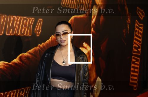 Amsterdam 21 maart 2023
Premiere JohnWick in de kromhouthallen.
Jane Karto