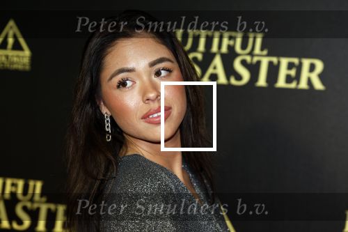 Amsterdam 28 maart 2023
Premiere Beuatiful Disaster in Tuschinksi.
Jessey Fields
