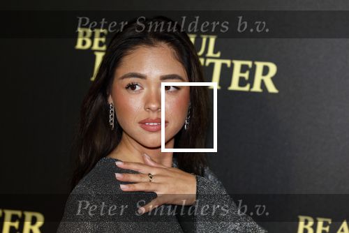 Amsterdam 28 maart 2023
Premiere Beuatiful Disaster in Tuschinksi.
Jessey Fields
