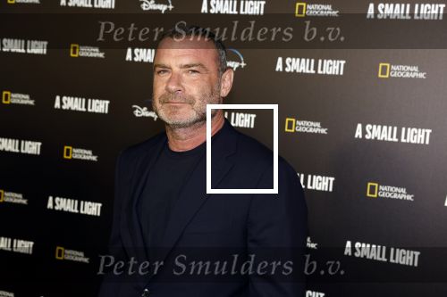 Amsterdam 17 april  2023
Premiere a small light in Tuschinski.
Liev Schreiber