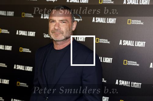 Amsterdam 17 april  2023
Premiere a small light in Tuschinski.
Liev Schreiber