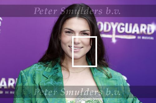Utrecht 16 april 2023
Premiere the Bodyguard in het Beatrix Theater.