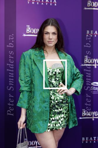 Utrecht 16 april 2023
Premiere the Bodyguard in het Beatrix Theater.