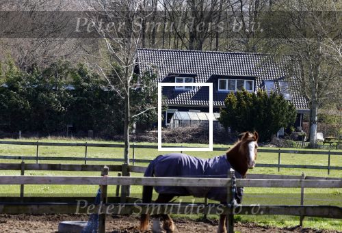Naarden Bussum 11 april 2023
Huis Lodewijk Hoekstra