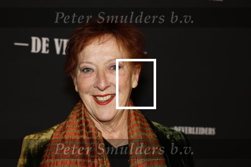 Amsterdam 15 maart 2023
Premiere de Verleiders in het deLaMar Theater.
Loes Luca
