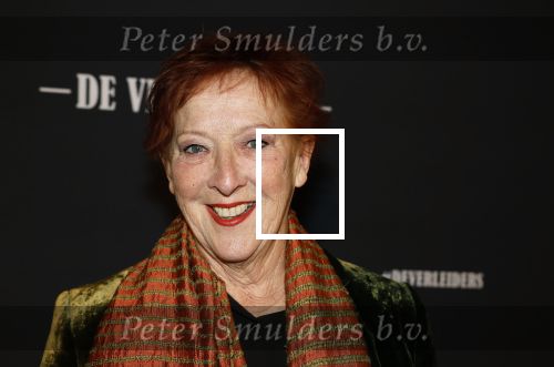 Amsterdam 15 maart 2023
Premiere de Verleiders in het deLaMar Theater.
Loes Luca