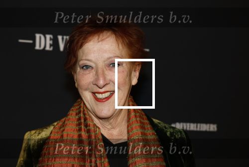 Amsterdam 15 maart 2023
Premiere de Verleiders in het deLaMar Theater.
Loes Luca