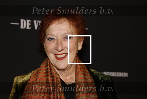 Amsterdam 15 maart 2023
Premiere de Verleiders in het deLaMar Theater.
Loes Luca