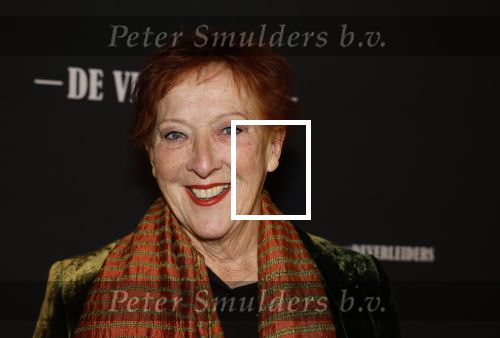 Amsterdam 15 maart 2023
Premiere de Verleiders in het deLaMar Theater.
Loes Luca