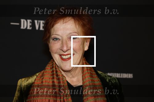 Amsterdam 15 maart 2023
Premiere de Verleiders in het deLaMar Theater.
Loes Luca
