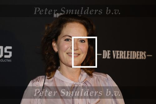 Amsterdam 15 maart 2023
Premiere de Verleiders in het deLaMar Theater.
Maike Meijer