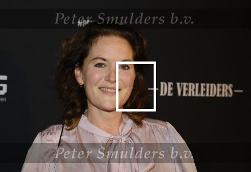 Amsterdam 15 maart 2023
Premiere de Verleiders in het deLaMar Theater.
Maike Meijer