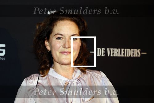 Amsterdam 15 maart 2023
Premiere de Verleiders in het deLaMar Theater.
Maike Meijer