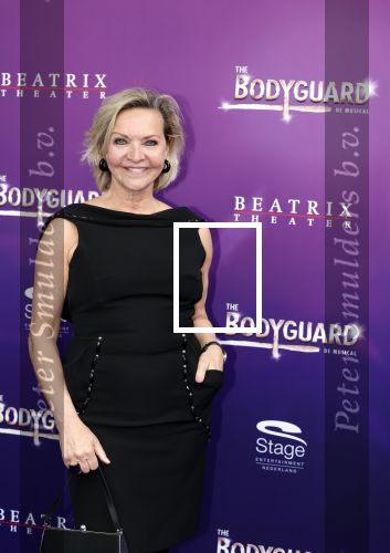 Utrecht 16 april 2023
Premiere the Bodyguard in het Beatrix Theater.
