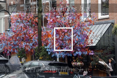 Amsterdam 1 april 2023
Bloemist Menno Kroon  op de cornelis schuytstraat