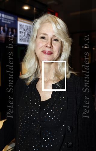 Amsterdam 15 maart 2023
Premiere de Verleiders in het deLaMar Theater.
Mona Keijzer