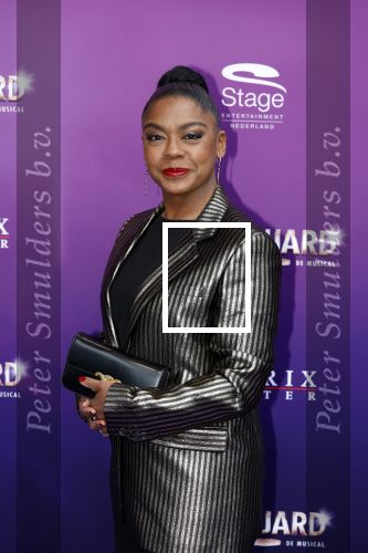 Utrecht 16 april 2023
Premiere the Bodyguard in het Beatrix Theater.