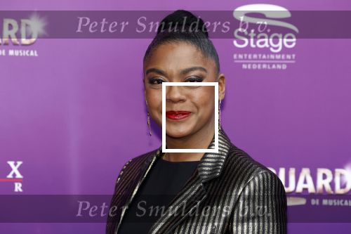 Utrecht 16 april 2023
Premiere the Bodyguard in het Beatrix Theater.