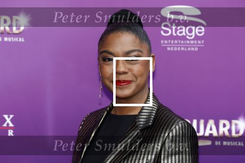 Utrecht 16 april 2023
Premiere the Bodyguard in het Beatrix Theater.