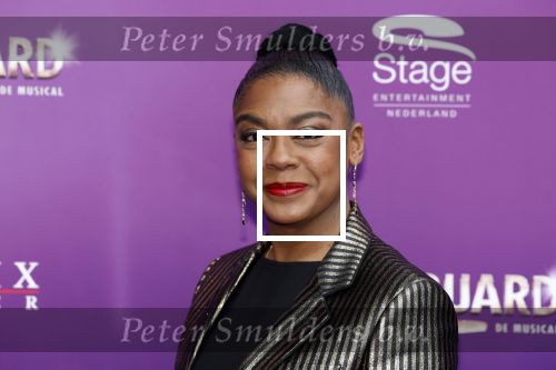 Utrecht 16 april 2023
Premiere the Bodyguard in het Beatrix Theater.