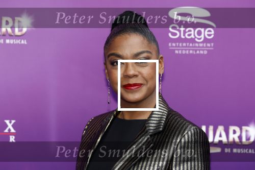 Utrecht 16 april 2023
Premiere the Bodyguard in het Beatrix Theater.