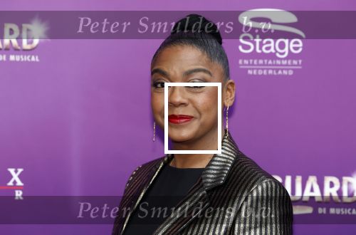 Utrecht 16 april 2023
Premiere the Bodyguard in het Beatrix Theater.