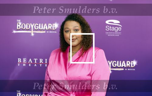 Utrecht 16 april 2023
Premiere the Bodyguard in het Beatrix Theater.