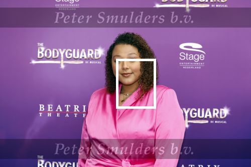 Utrecht 16 april 2023
Premiere the Bodyguard in het Beatrix Theater.