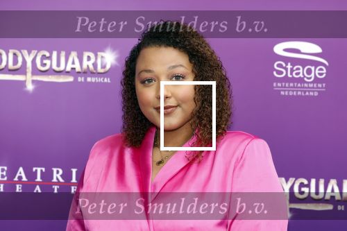 Utrecht 16 april 2023
Premiere the Bodyguard in het Beatrix Theater.