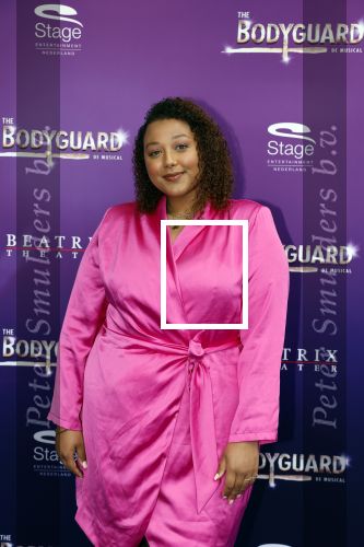 Utrecht 16 april 2023
Premiere the Bodyguard in het Beatrix Theater.