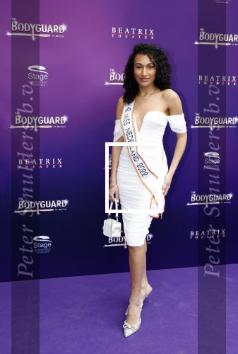 Utrecht 16 april 2023
Premiere the Bodyguard in het Beatrix Theater.