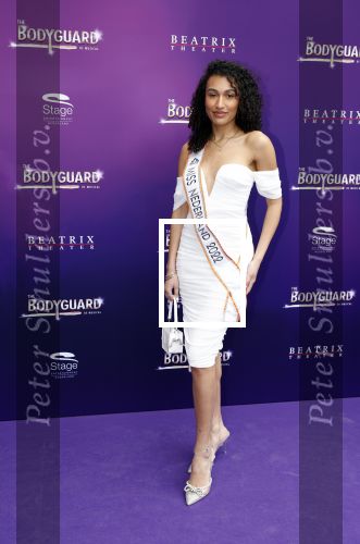 Utrecht 16 april 2023
Premiere the Bodyguard in het Beatrix Theater.