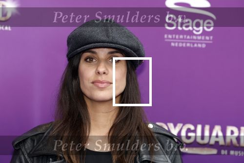 Utrecht 16 april 2023
Premiere the Bodyguard in het Beatrix Theater.