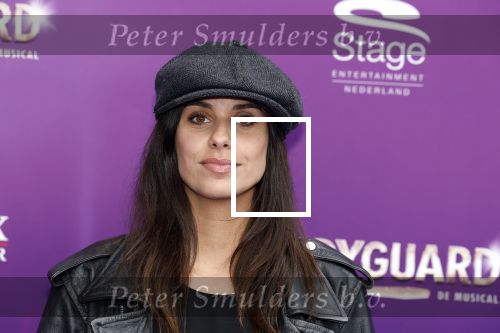 Utrecht 16 april 2023
Premiere the Bodyguard in het Beatrix Theater.