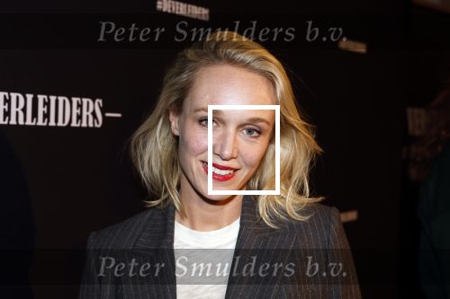 Amsterdam 15 maart 2023
Premiere de Verleiders in het deLaMar Theater.