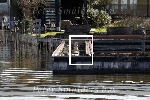 Breukeleveen 4 april 2023
Huis van Prins Maurits en Prinses Marilene aan de Loosdrechtse plassen.