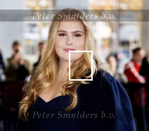 Rotterdam 19 april 2023
 Koningsdagconcert in Ahoy Dit concert wordt traditiegetrouw georganiseerd in de stad waar de koning en zijn familie dat jaar Koningsdag vieren. Aanwezig oa Koning Willem Alexander Koningin Maxima  Prinses Ariane en Prinses Amalia. Ook prinses Laurentien en prinses Beatrix zijn aanwezig.