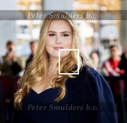 Rotterdam 19 april 2023
 Koningsdagconcert in Ahoy Dit concert wordt traditiegetrouw georganiseerd in de stad waar de koning en zijn familie dat jaar Koningsdag vieren. Aanwezig oa Koning Willem Alexander Koningin Maxima  Prinses Ariane en Prinses Amalia. Ook prinses Laurentien en prinses Beatrix zijn aanwezig.