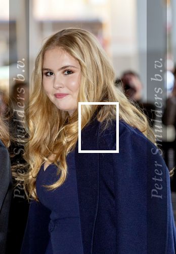 Rotterdam 19 april 2023
 Koningsdagconcert in Ahoy Dit concert wordt traditiegetrouw georganiseerd in de stad waar de koning en zijn familie dat jaar Koningsdag vieren. Aanwezig oa Koning Willem Alexander Koningin Maxima  Prinses Ariane en Prinses Amalia. Ook prinses Laurentien en prinses Beatrix zijn aanwezig.