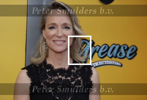 Amsterdam 3 april 2023
Premiere Grease in het DeLaMar theater.