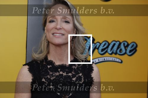 Amsterdam 3 april 2023
Premiere Grease in het DeLaMar theater.